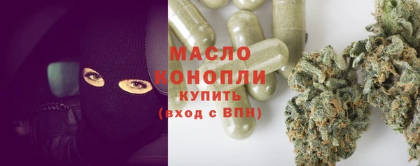 стаф Пересвет