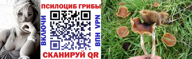 Псилоцибиновые грибы Cubensis  где продают наркотики  гидра ONION  Вольск 