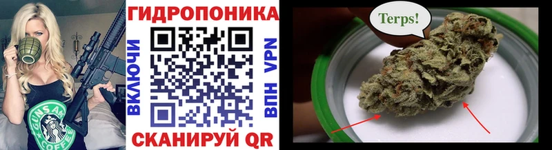 МЕГА ONION  Вольск  Конопля Amnesia 